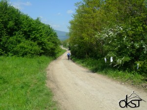 PTZ Košeca 2015 075